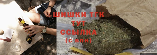 ГАЛЛЮЦИНОГЕННЫЕ ГРИБЫ Богданович