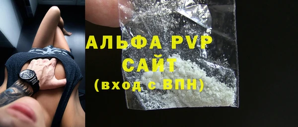 ГАЛЛЮЦИНОГЕННЫЕ ГРИБЫ Богданович