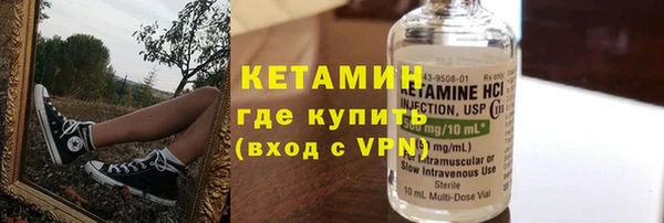 ГАЛЛЮЦИНОГЕННЫЕ ГРИБЫ Богданович
