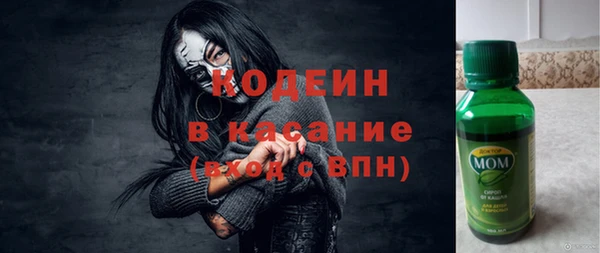 ГАЛЛЮЦИНОГЕННЫЕ ГРИБЫ Богданович