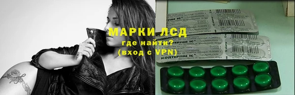 индика Богородск