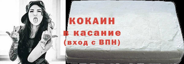 индика Богородск