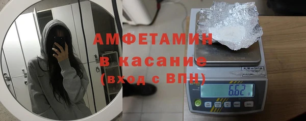 ГАЛЛЮЦИНОГЕННЫЕ ГРИБЫ Богданович