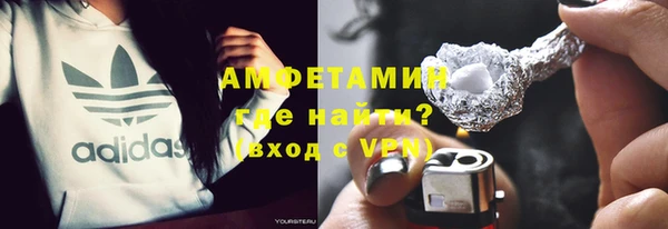 индика Богородск