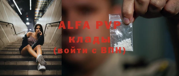ГАЛЛЮЦИНОГЕННЫЕ ГРИБЫ Богданович