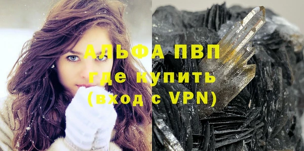 ГАЛЛЮЦИНОГЕННЫЕ ГРИБЫ Богданович