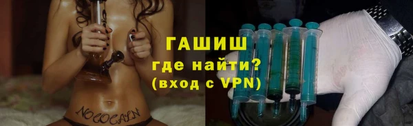 индика Богородск