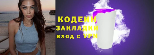 индика Богородск