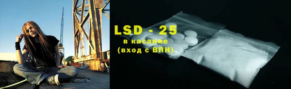 ГАЛЛЮЦИНОГЕННЫЕ ГРИБЫ Богданович