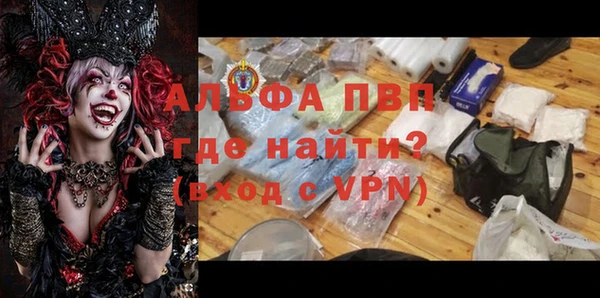 ГАЛЛЮЦИНОГЕННЫЕ ГРИБЫ Богданович