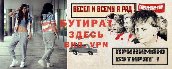 индика Богородск