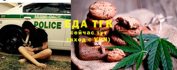 индика Богородск