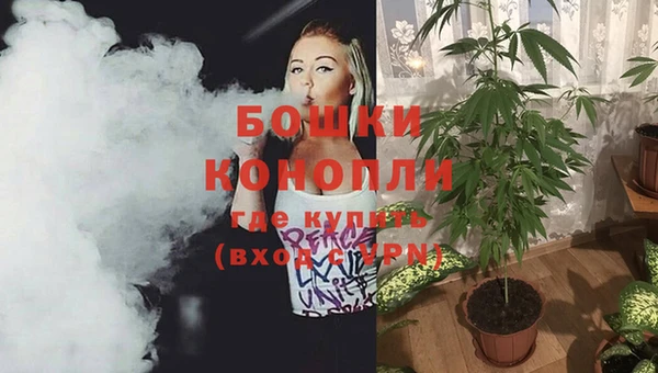 индика Богородск