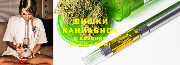 индика Богородск